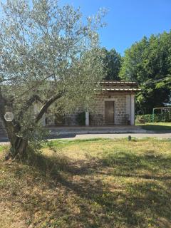 Grotta Biscia - Genazzano - 7