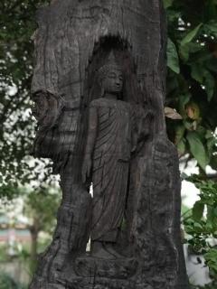 IngNatee Resort - Pathum Thani - 7