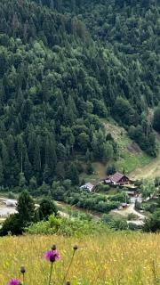 Casa Bella - Vadu Moţilor - 7