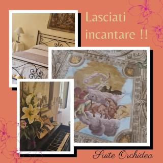 Cà del Vescovo - Imperia - 7