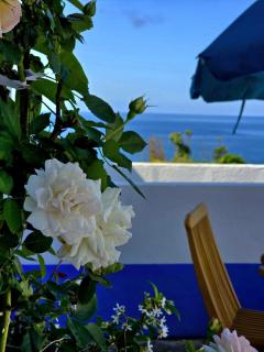 Cottage Cantinho da Quinta - 9