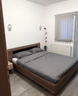 BIG Apartment 3 Bedrooms - Bihać - 7