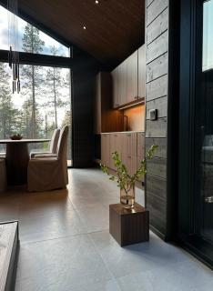 Black Villa, Aurora View Bath & Sauna, Private Design Villa in Lapland - Kolari - 2