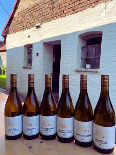 Penzion jaký svět neviděl - Šakvice - 6