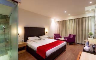 The Grand Bhagwati - 8