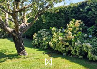 MyStay - Quinta do Louro - 4