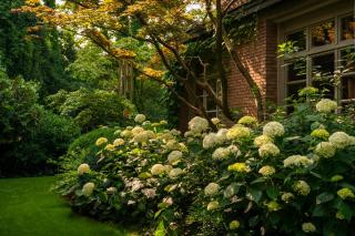 WISTERIA Holiday Home - Lonato del Garda - 8