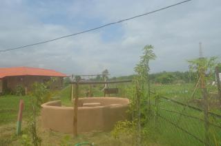 Kosha Farm Stay - Sehore - 4