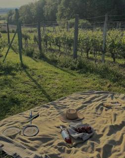 Old Horvat wine estate - Vrbovec - 7