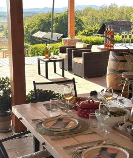 Old Horvat wine estate - Vrbovec - 5