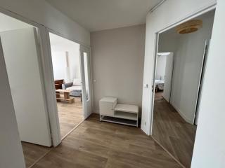 Spacious renovated apartment near Paris metro 11 - 2
