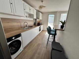 Spacious renovated apartment near Paris metro 11 - 8