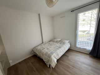 Spacious renovated apartment near Paris metro 11 - 4