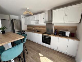Spacious renovated apartment near Paris metro 11 - 7