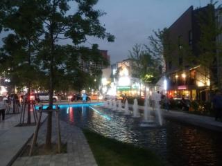 Nature in city house #Hongdae#Sogang#Yeonsei# Ewha - Seoul - 3