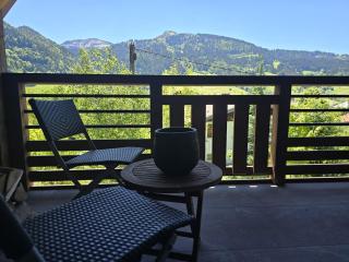 Elegant 3 bedrooms apartment - Praz-sur-Arly - 2