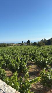 Stylish 2 Bedroom apartment in Pegia - 3