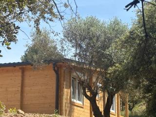 Chalet Chêne-Pin - 2