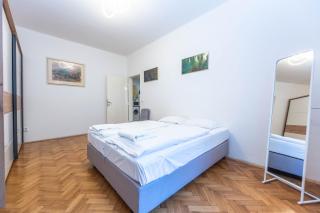 Apartments Premyslovska - Prag - 4