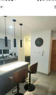Lindo 1BD apt in Bella Vista with Pool, Rooftop,Gym,Parking - 4