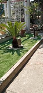 Wild Paradise - Canosa di Puglia - 6