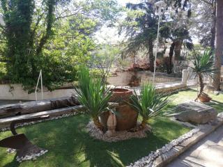 Wild Paradise - 8
