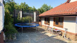 Cabana cu piscină ALLEGRIA - TOCILE , jud SIBIU - Sadu - 9