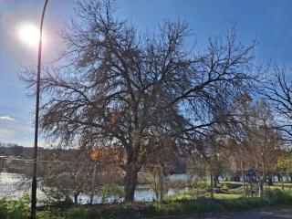 Ararat Haven - Johannesburg - 8
