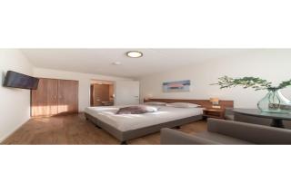 Holiday home with whirlpool and sauna in a quiet area in Zeeland - Colijnsplaat - 5