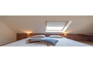 Holiday home with whirlpool and sauna in a quiet area in Zeeland - Colijnsplaat - 1