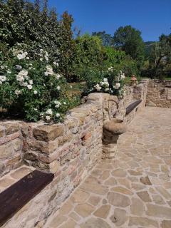 Casa dei Tulipani - Smerillo - 5