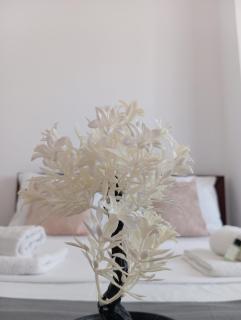 R&E apartment - Saranda - 0