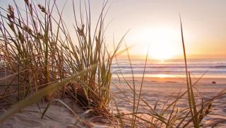 Holiday house Zeelust - 2 km from the beach - 1