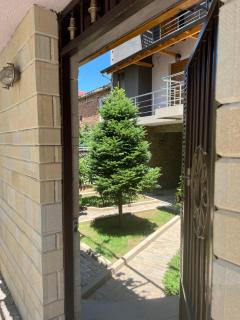 Doctor's House - Tepelenë - 0