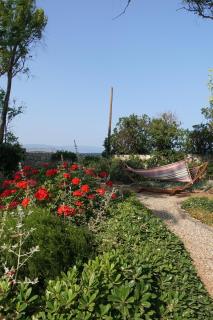 Aeolos a family paradise few steps from the beach - Kouverta - 4