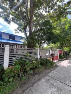 Jezette's Inn - Sipalay - 3