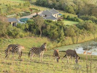 Hakuna Matata Game Farm - 9