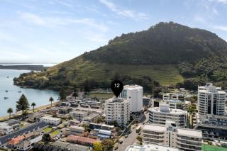 Rustic Luxe Mount Escape Sea Views Pool & Gym - Mount Maunganui - 5