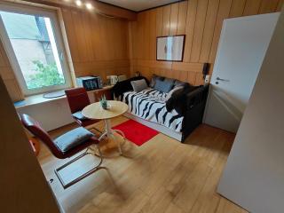 Ferienwohnungen Qué Vendrá - Kirchhain - 5