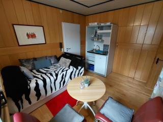 Ferienwohnungen Qué Vendrá - Kirchhain - 6