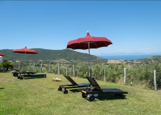Villa Teresa - Agropoli - 2