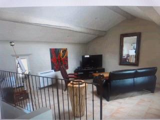 Superbe appartement au pied du Mont Ventoux - 0