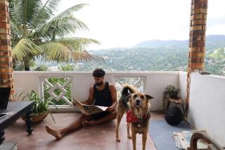 Holiday Stay Inn - Kandy - 8