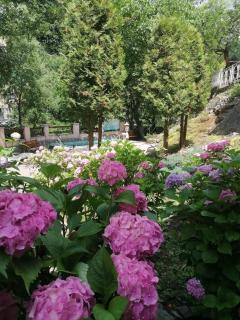 Casa Crina - Băile Herculane - 3