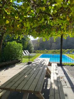 Quinta dos Mouras - Celorico de Basto - 4