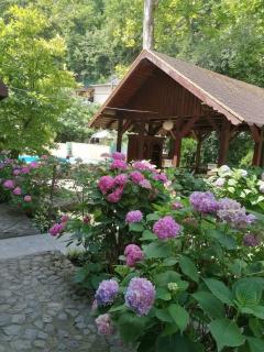 Casa Crina - Băile Herculane - 4