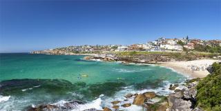 Surfers' Loft Tamarama - direct access to the beach - 3