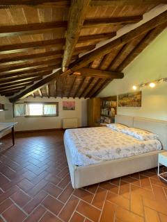 Casa Vacanze - La Bandita - Castiglione della Pescaia - 5