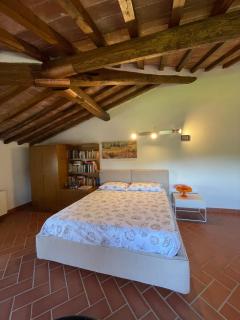 Casa Vacanze - La Bandita - Castiglione della Pescaia - 3