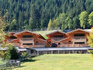 Alpin-Chalet Flachauwinkl - 9